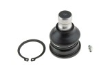 Rotula brat suspensie Mitsubishi Grandis Na4w, Na8w 2003-2009 Fata, Inferior, NTY ZSD-MS-029