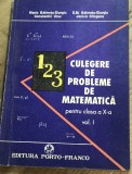 DVP13 0442 Culegere de probleme de matematica clasa- x -