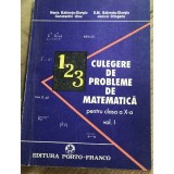 DVP13 0442 Culegere de probleme de matematica clasa- x -
