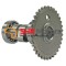 Axa came scuter China 4T Gy 50 / 60 / 80 cm3
