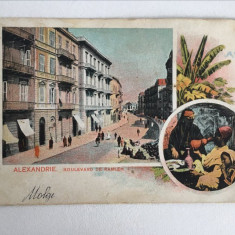 Carte postala veche vedere Egipt Alexandria Boulevard de Ramleh 1900 necirculata
