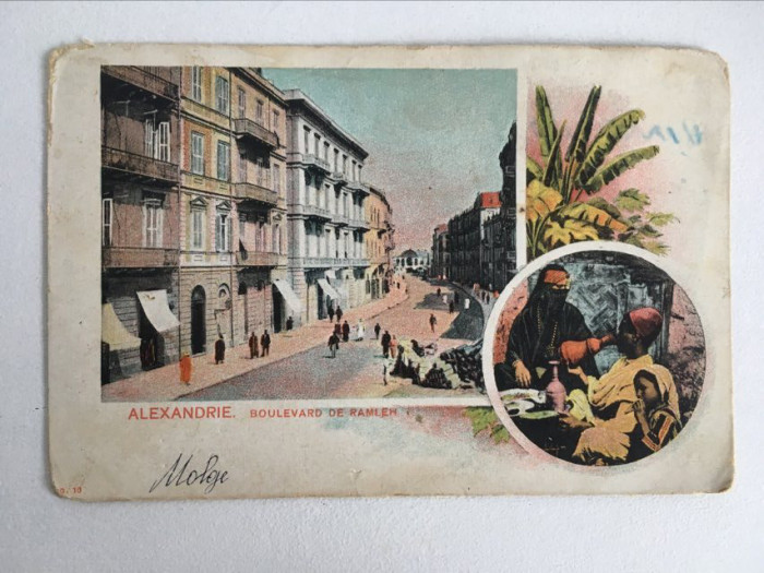 Carte postala veche vedere Egipt Alexandria Boulevard de Ramleh 1900 necirculata