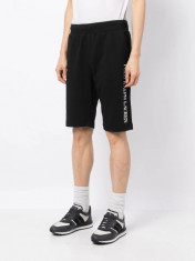 Pantaloni scurti sport barbati cu imprimeu cu logo si croiala Regular fit, negru 2XL, Negru, 2XL INTL, 2XL+ (Z200: SIZE(3XSL &amp;rarr; 5XL)) foto