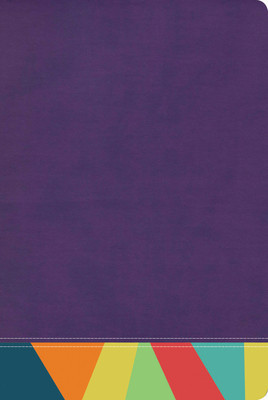 Rvr 1960 Biblia de Estudio Arco Iris, Morado/Multicolor foto