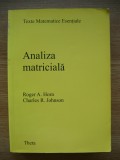 ROGER A. HORN / CHARLES R. JOHNSON - ANALIZA MATRICEALA - 2001