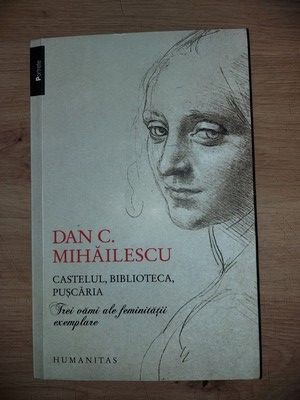 Castelul, biblioteca, puscaria- Dan C. Mihailescu foto