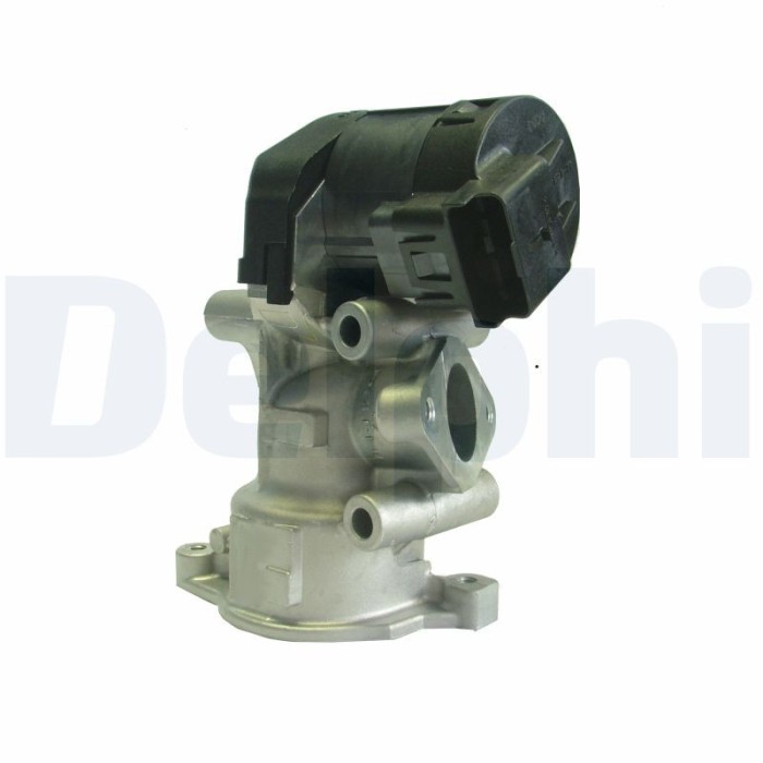 DELPHI EG10396-12B1 Supapa EGR