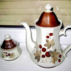 261A-Set Bavaria ceai portelan ceainic zaharnita stil Art Deco motiv floral.