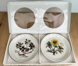 Set farfurii - Villeroy and Boch - Botanica - cutie originala