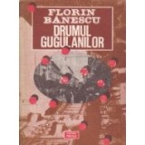 Drumul gugulanilor (Strada)