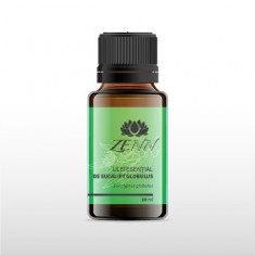 Eucalipt globulus - Eucalyptus globulus - Eucalyptus essential oil foto