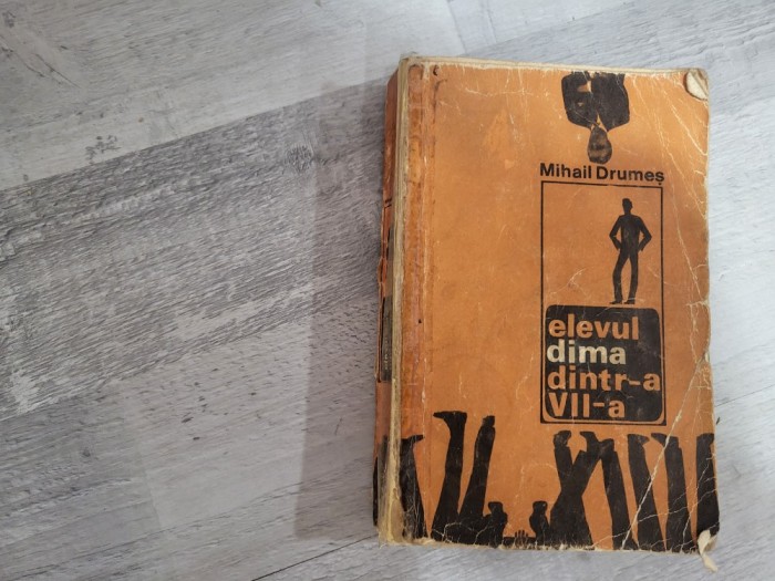 Elevul Dima dintr-a VII-a de Mihail Drumes