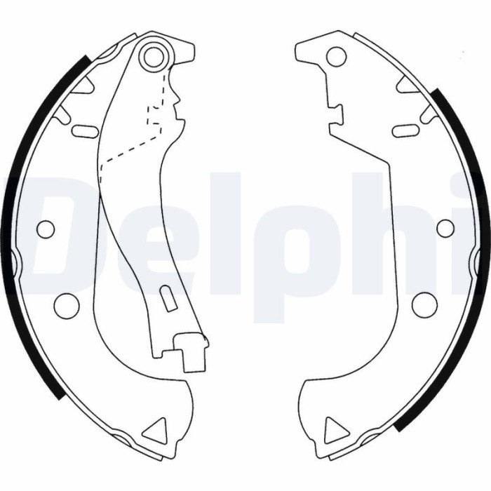 DELPHI LS1916 Set saboti frana