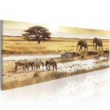 Cumpara ieftin Tablou - Africa: at the waterhole 135x45 cm