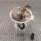 Pompa de combustibil rezervor CHRYSLER YPSILON 2013 OEM: Hatchback | 25846713