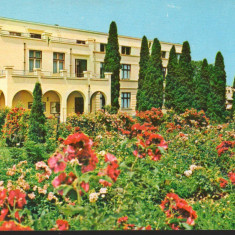 CPI B13387 CARTE POSTALA - CLUJ NAPOCA. MUZEUL BOTANIC