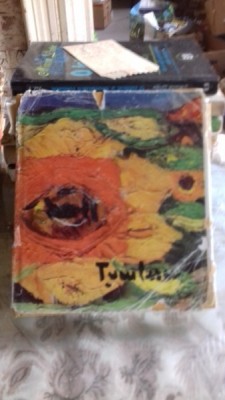 ION TUCULESCU - PETRU COMARNESCU foto