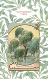 The Little Book of Trees |, ACC Art Books