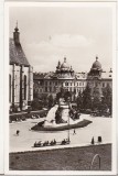 bnk cp Cluj - Statuia lui Matei Corvin - necirculata