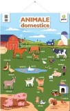 Animale domestice. Poster - Gama