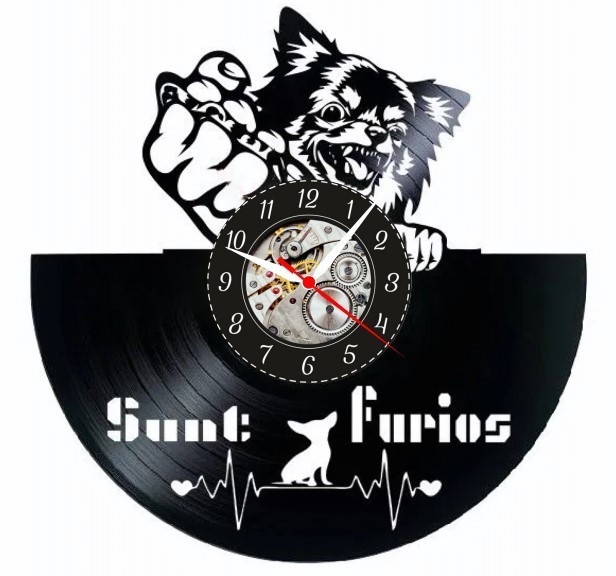 CHIHUAHUA FURIOS- ceas de perete