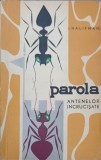PAROLA ANTENELOR INCRUCISATE-I. HALIFMAN-347533