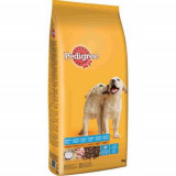 Pedigree Uscat Junior, Medium, Pui, Orez, 15kg