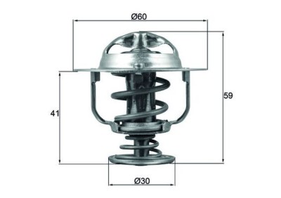 MAHLE TX 177 82D termostat,lichid racire foto