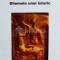 Vasile Parvan, dilemele unui istoric. Eseuri de ieri si de azi - 2002 - Al. Zub ($N67)
