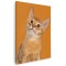 Tablou pisica abisiniana Tablou canvas pe panza CU RAMA 40x60 cm