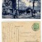 Baia Mare 1912 - Parc, restaurant, ilustrata circulata