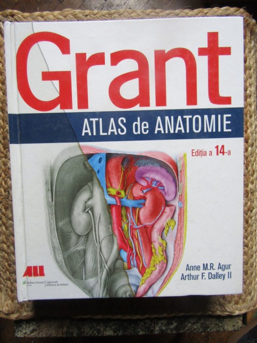 Grant ATLAS de ANATOMIE - Anne M.R. Agur, Arthur F. Dalley II