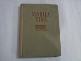 MOBILA FINA - G. RINGLER, GH. RETEA