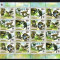WWF 2011 ANGOLA=Coala mica dantelata,nestampilata cu 4 serii de 4 timbre MNH