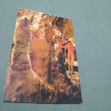 Cumpara ieftin CARTE POSTALA BIHOR-PESTERA URSILOR CHISCAU NECIRCULATA