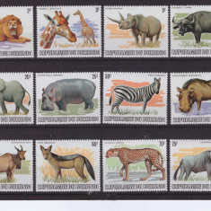 91-BURUNDI 1982-Animale din Africa-Lot de 12 timbre din seria completa de 13 MNH