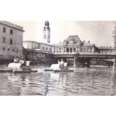 Oradea. Plimbare pe Cris (circulata 1963)