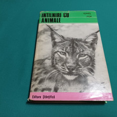 ÎNTÂLNIRI CU ANIMALE / IONEL POP /1972 *