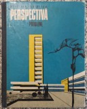 Perspectiva, probleme - Aurelian Tanasescu