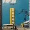 Perspectiva, probleme - Aurelian Tanasescu