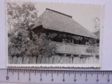 Fotografie cu casă 21
