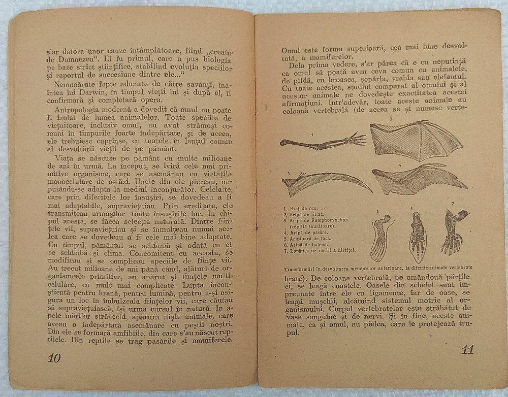 Stiinta pentru toti Originea omului, 1948 - M Plisetchi - carte  antropologie | Okazii.ro