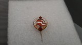 Insigna Flamura Rosie Arad
