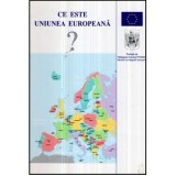 Rodica Baconsky, Francois Benoit - Ce este Uniunea Europeana? - Un ghid pentru tinerii romani - 120841