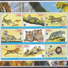 DB1 Fauna Coasta de Fildes Pantera Tigri Lei MS MNH