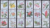 Timbre cu flori din Ins. Solomon