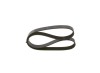 Curea transmisie cu caneluri Bosch 1 987 946 101 Alfa Romeo Fiat Lancia Ducato