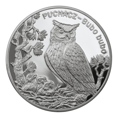 Polonia 20 zloti 2005,Animals of the World: Eagle Owl (Bubo bubo) PROOF/ Argint .925, 28,28g /insertie ceramica foto