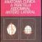ANATOMIA CLINICA A PERETELUI ABDOMINAL ANTERO-LATERAL-L.S. BRATUCU, AL. VAIDA-265398
