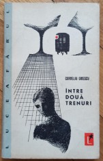 Intre doua trenuri - Corneliu Omescu// semnatura Ion Caramitru foto